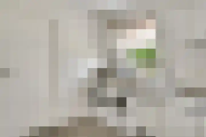 Leijstenstraat 6 Berg en Terblijt thumbnail 7
