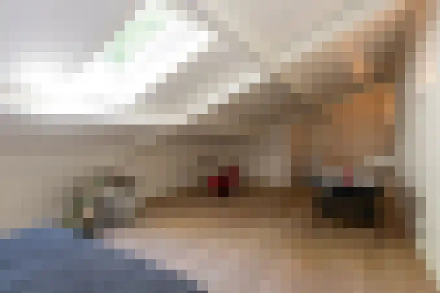 Leijzoom 1 a Goirle thumbnail 105