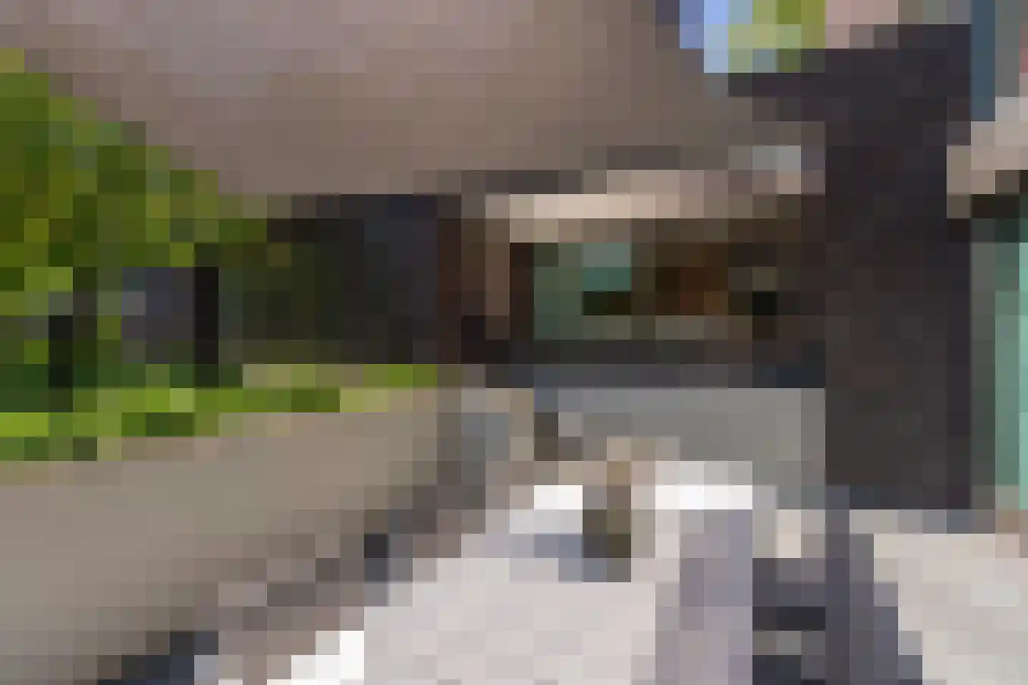 Leijzoom 1 a Goirle thumbnail 108