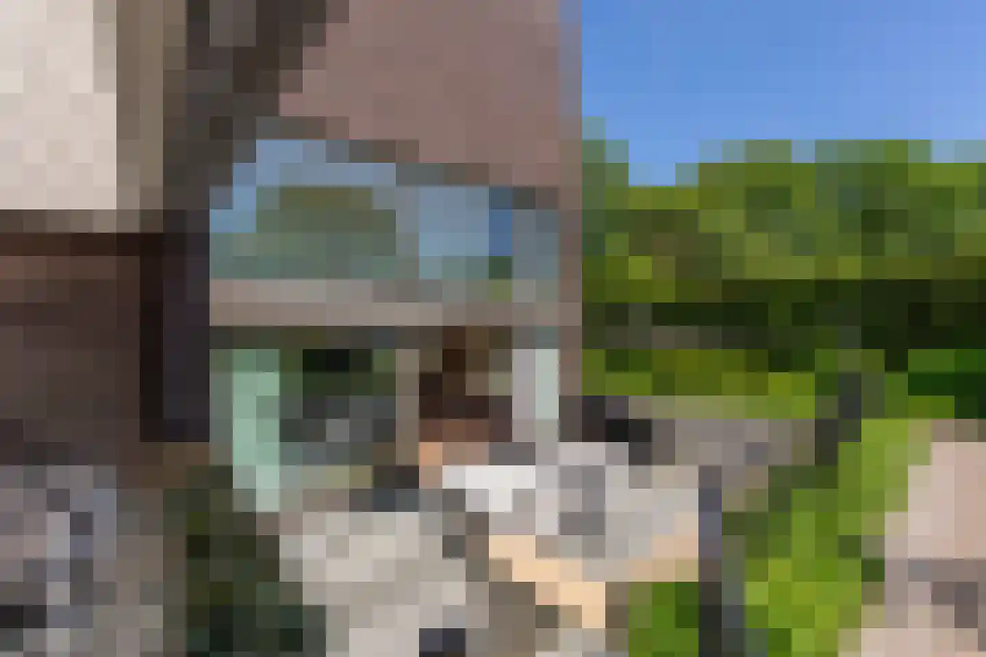 Leijzoom 1 a Goirle thumbnail 109
