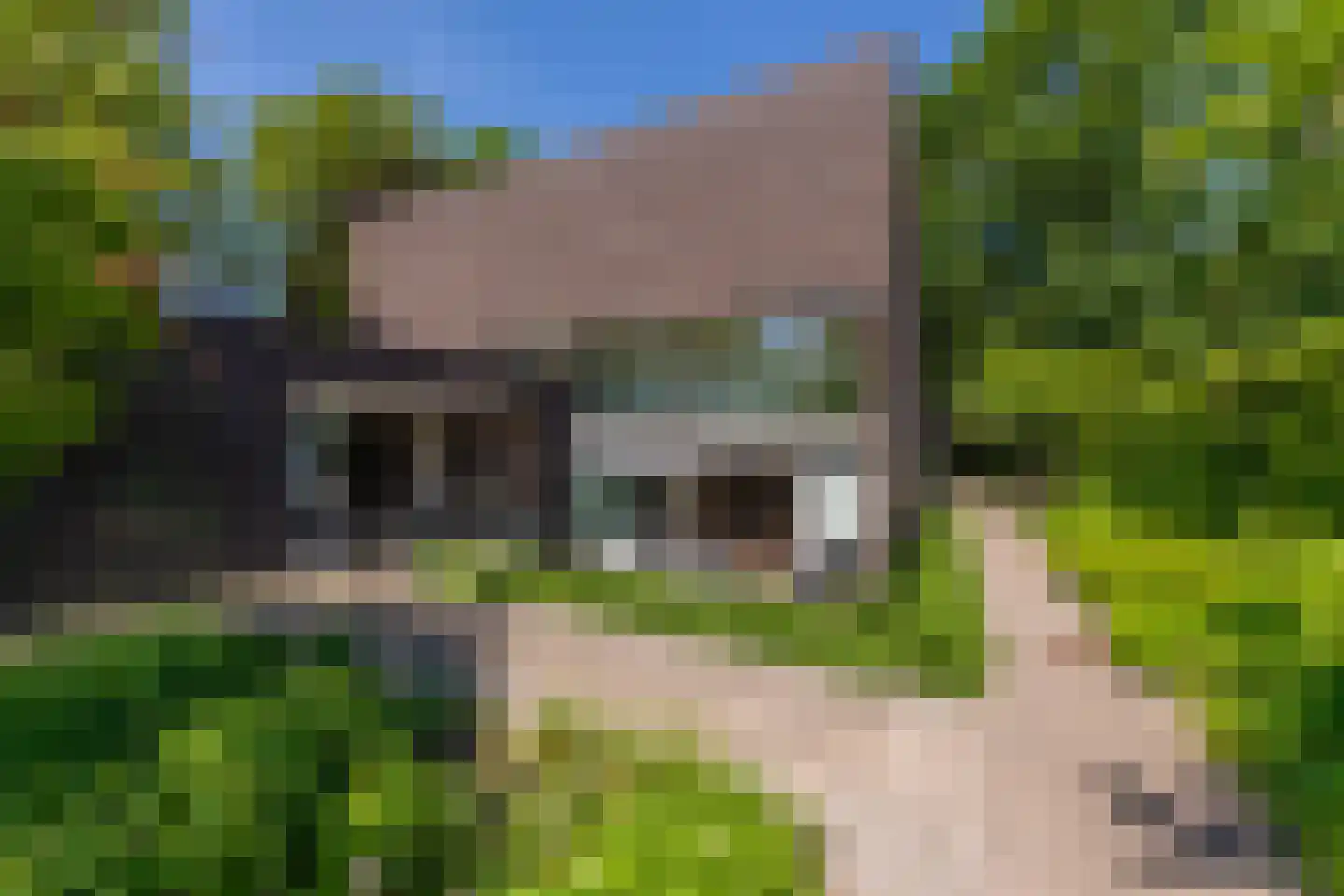 Leijzoom 1 a Goirle thumbnail 110