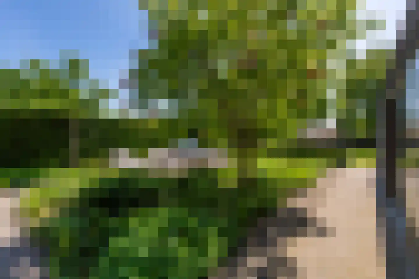 Leijzoom 1 a Goirle thumbnail 111