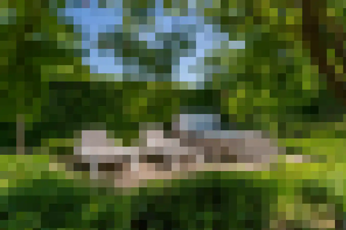 Leijzoom 1 a Goirle thumbnail 112
