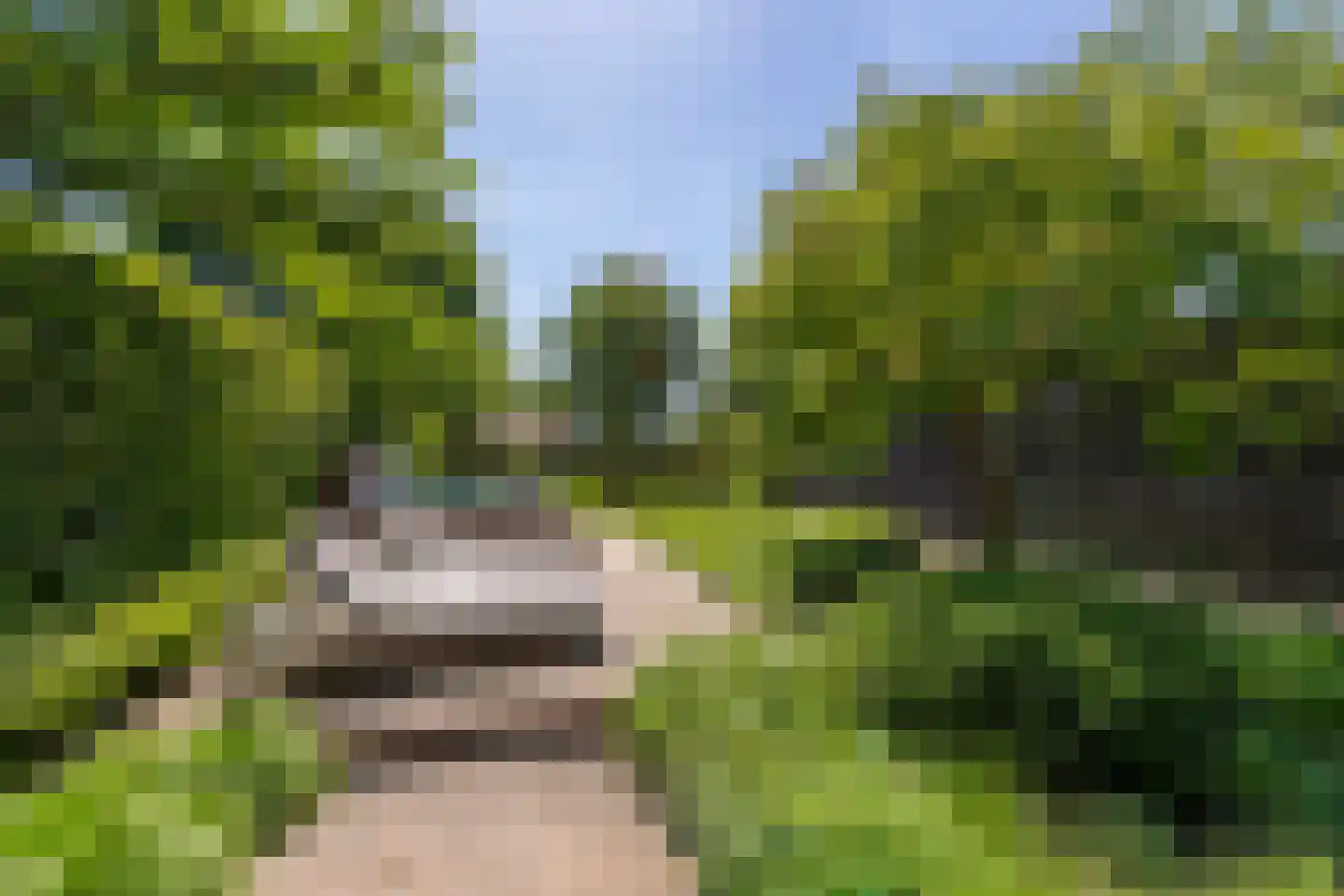 Leijzoom 1 a Goirle thumbnail 113