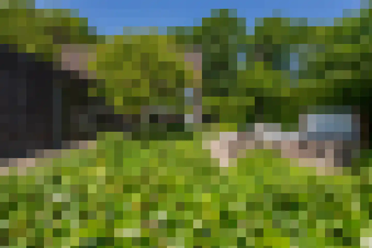 Leijzoom 1 a Goirle thumbnail 116