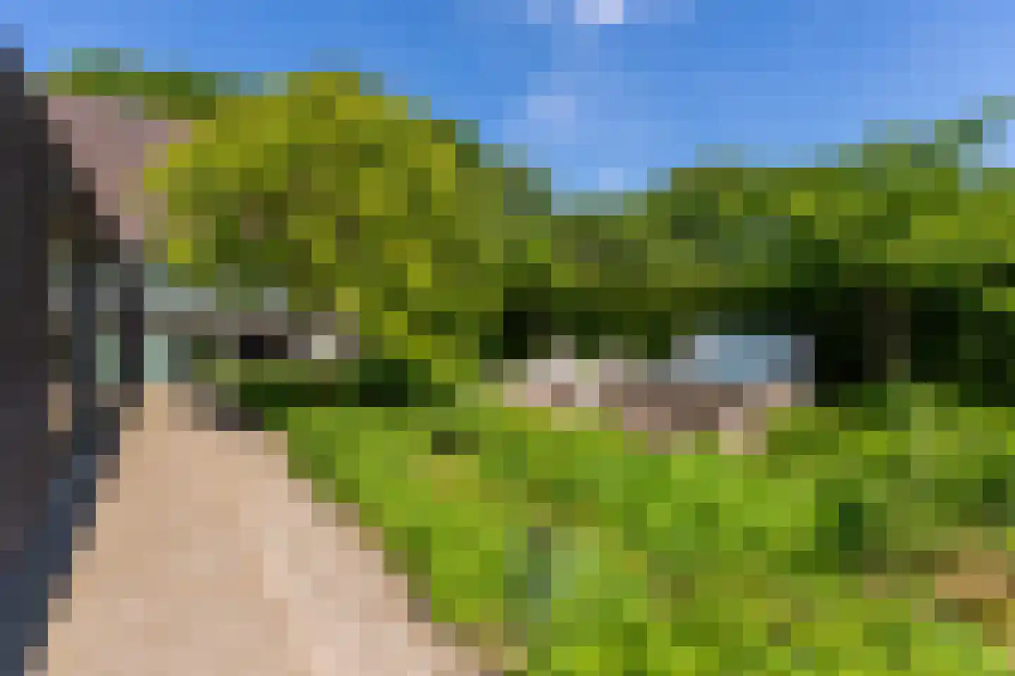 Leijzoom 1 a Goirle thumbnail 117