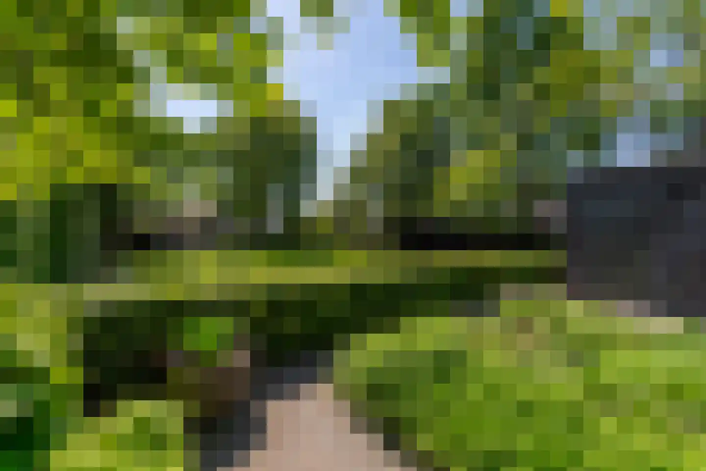 Leijzoom 1 a Goirle thumbnail 118