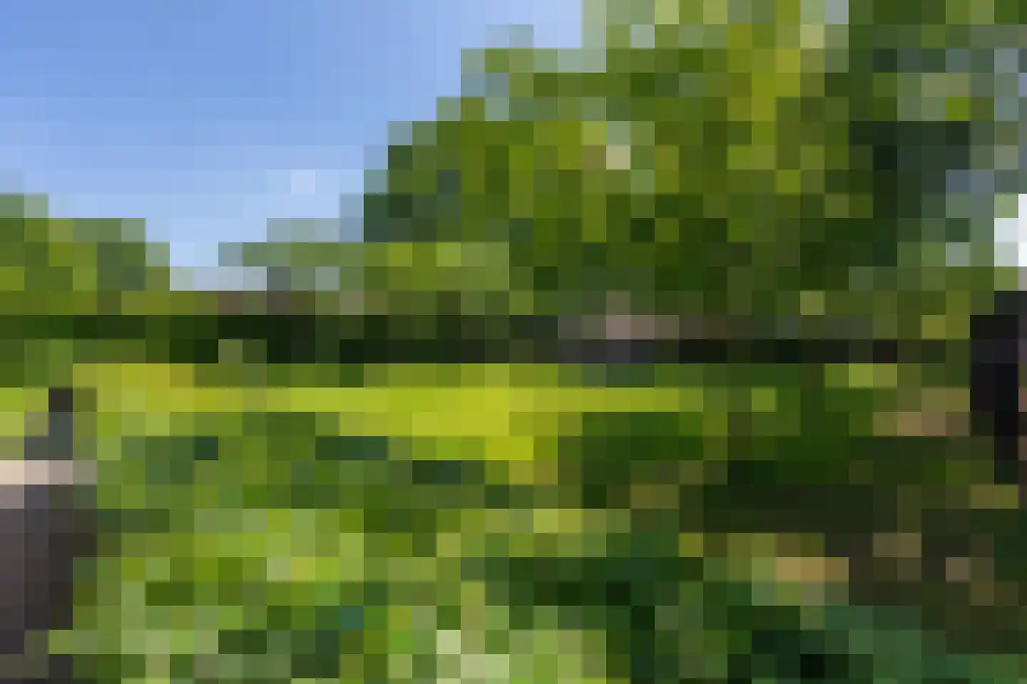 Leijzoom 1 a Goirle thumbnail 121