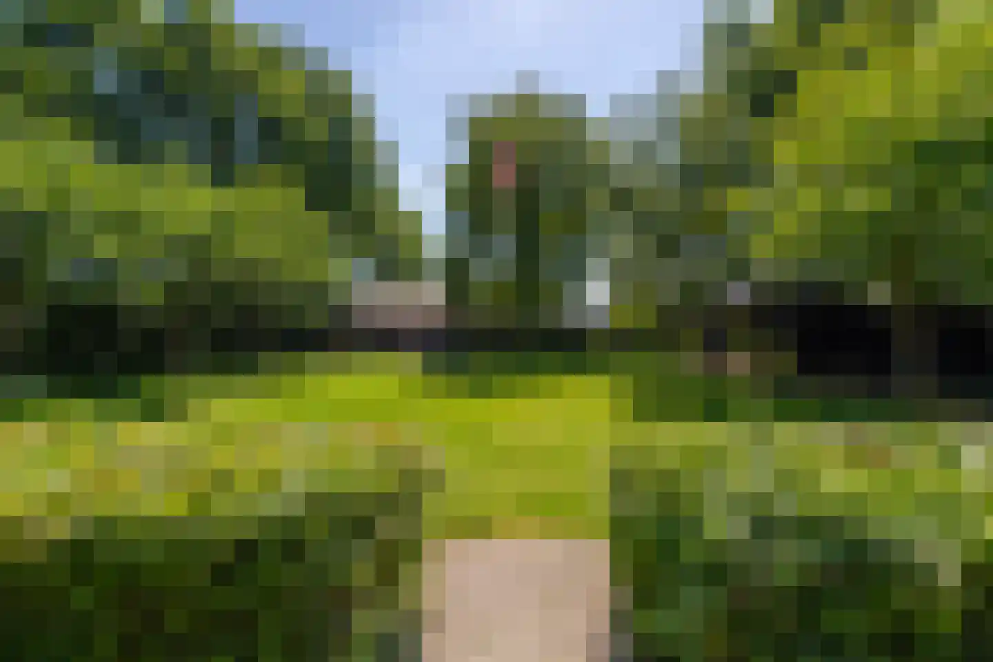 Leijzoom 1 a Goirle thumbnail 122
