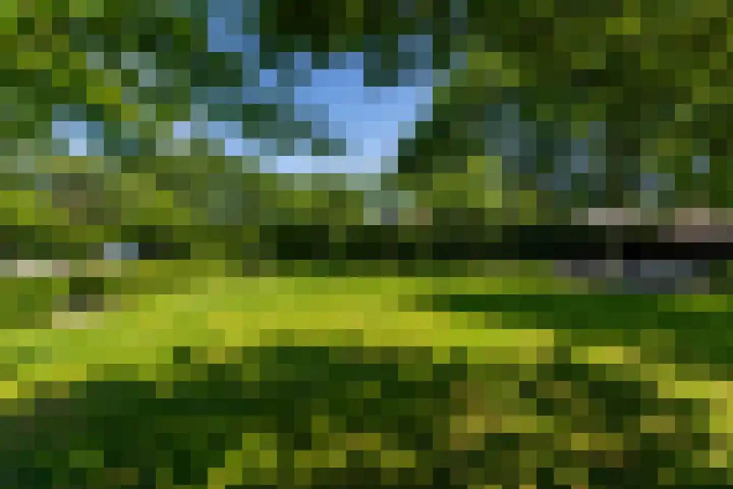 Leijzoom 1 a Goirle thumbnail 123