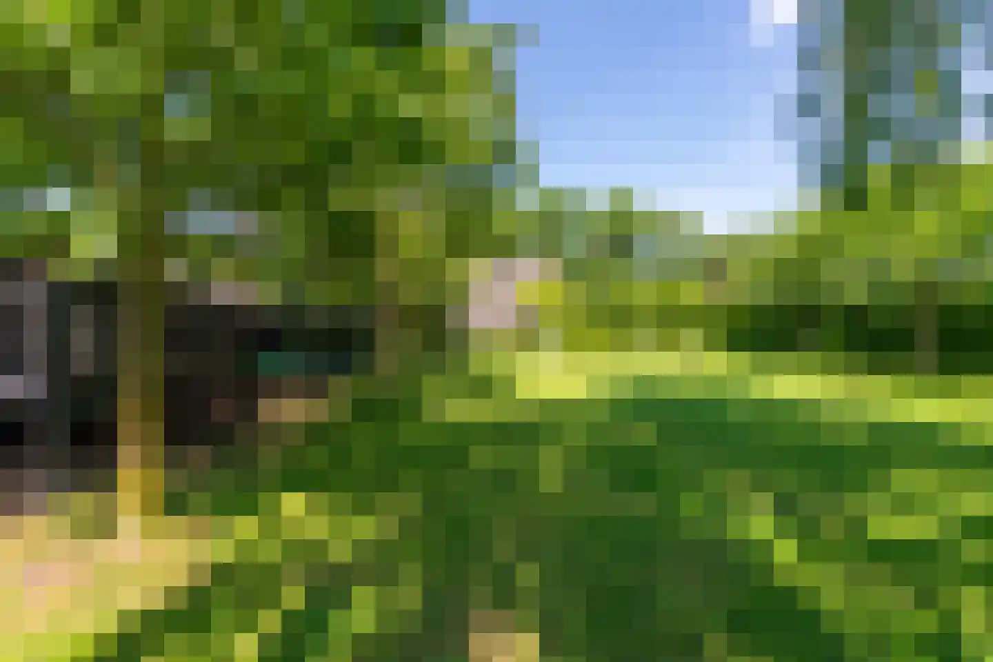 Leijzoom 1 a Goirle thumbnail 125