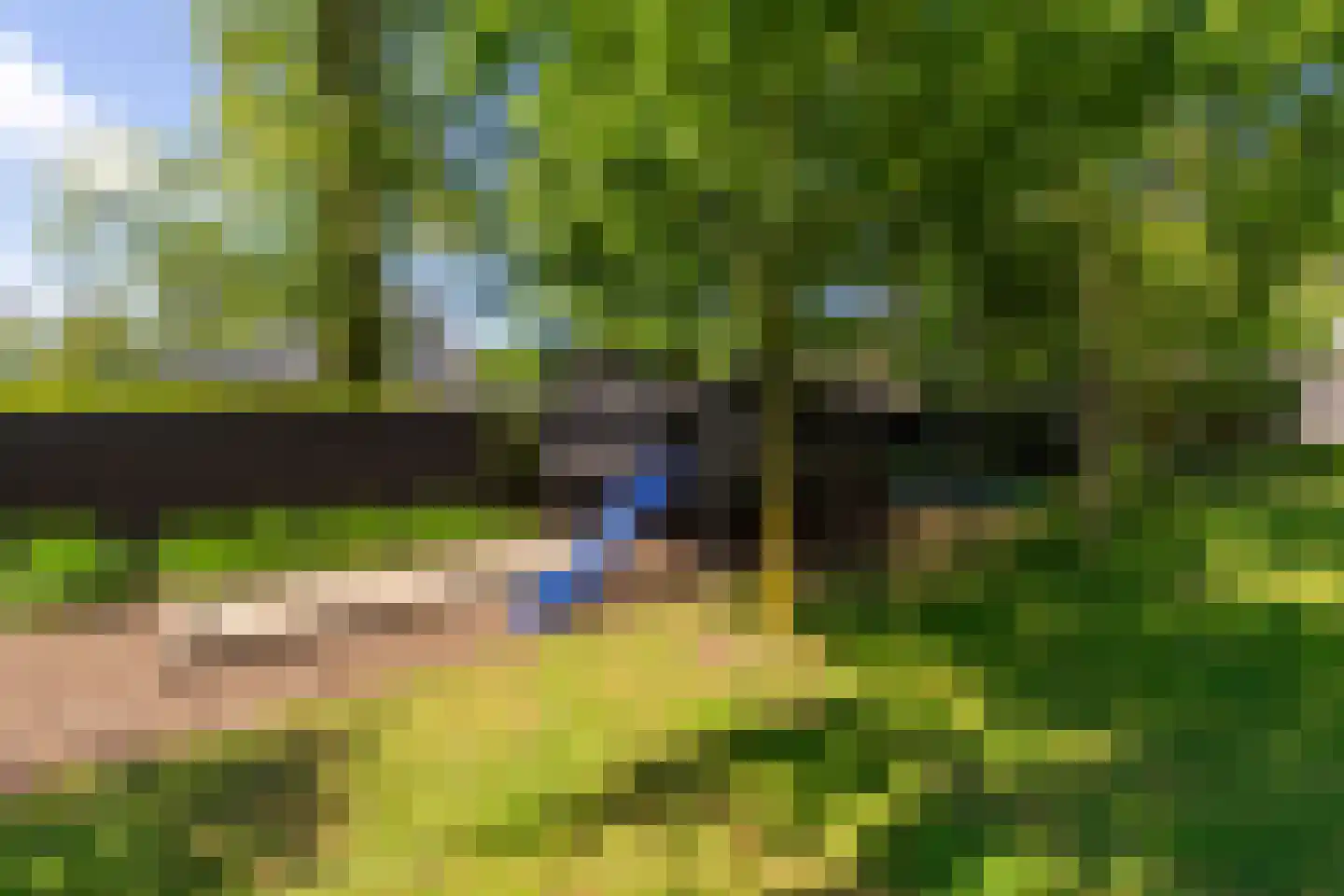 Leijzoom 1 a Goirle thumbnail 126
