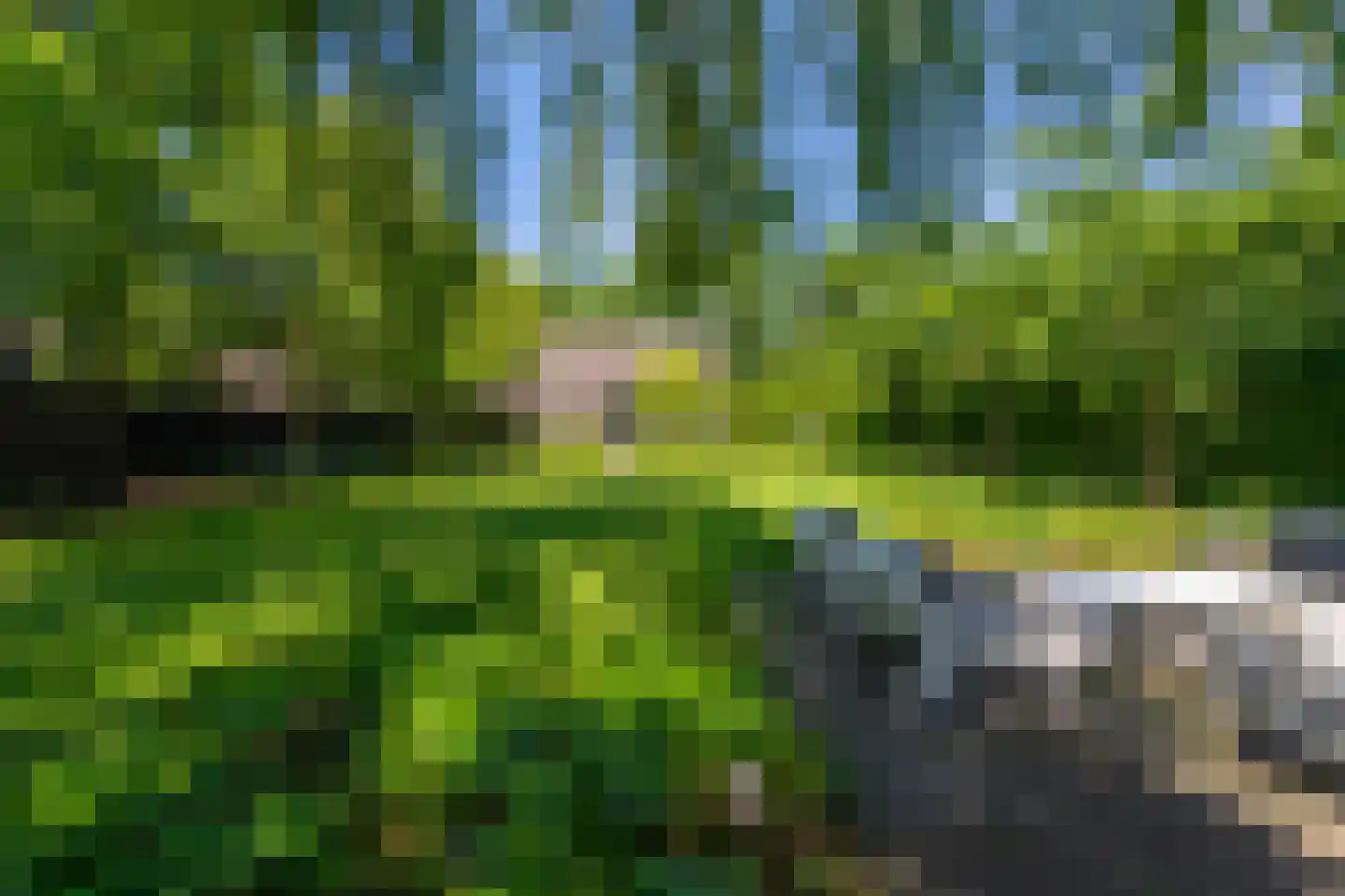 Leijzoom 1 a Goirle thumbnail 128