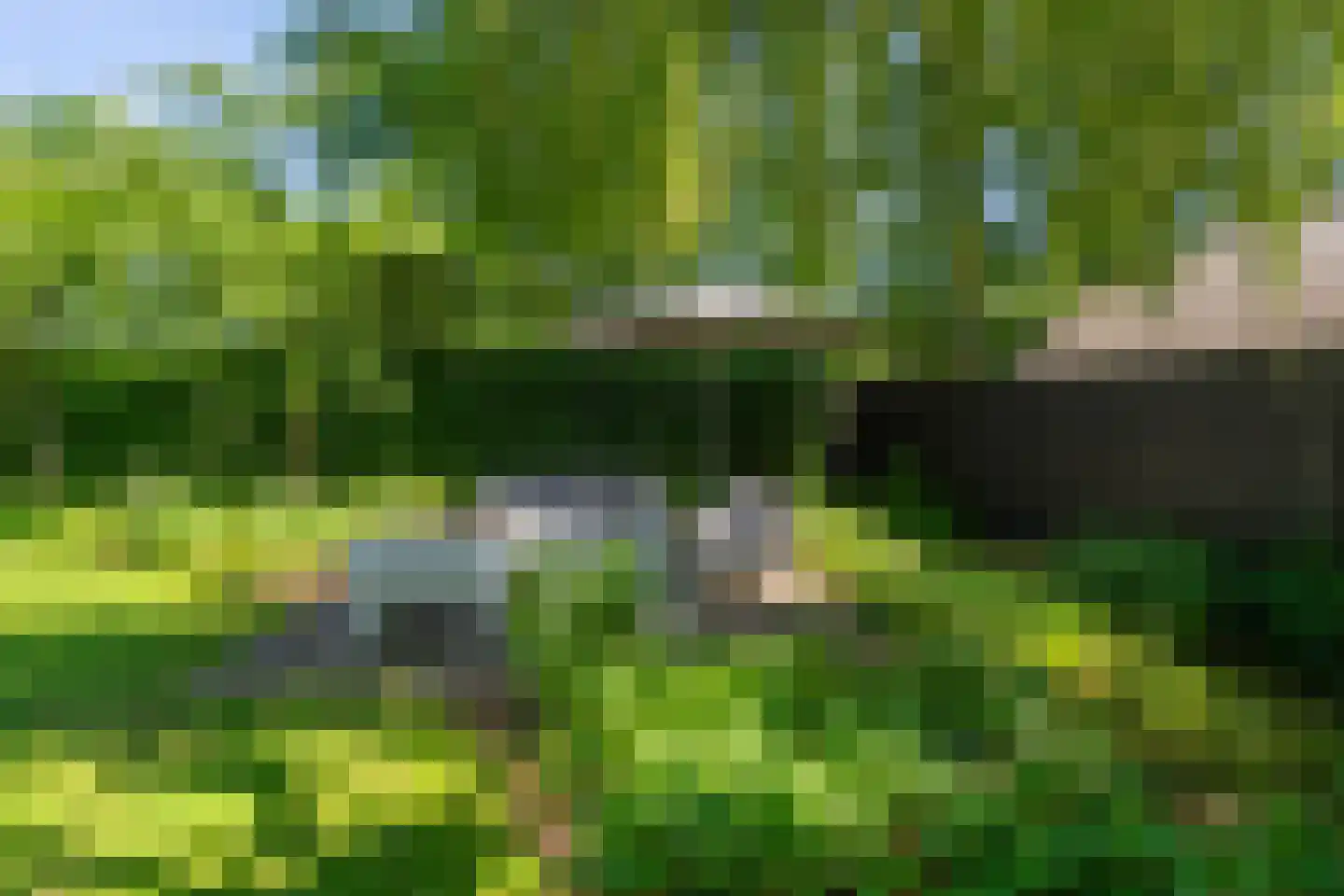 Leijzoom 1 a Goirle thumbnail 129