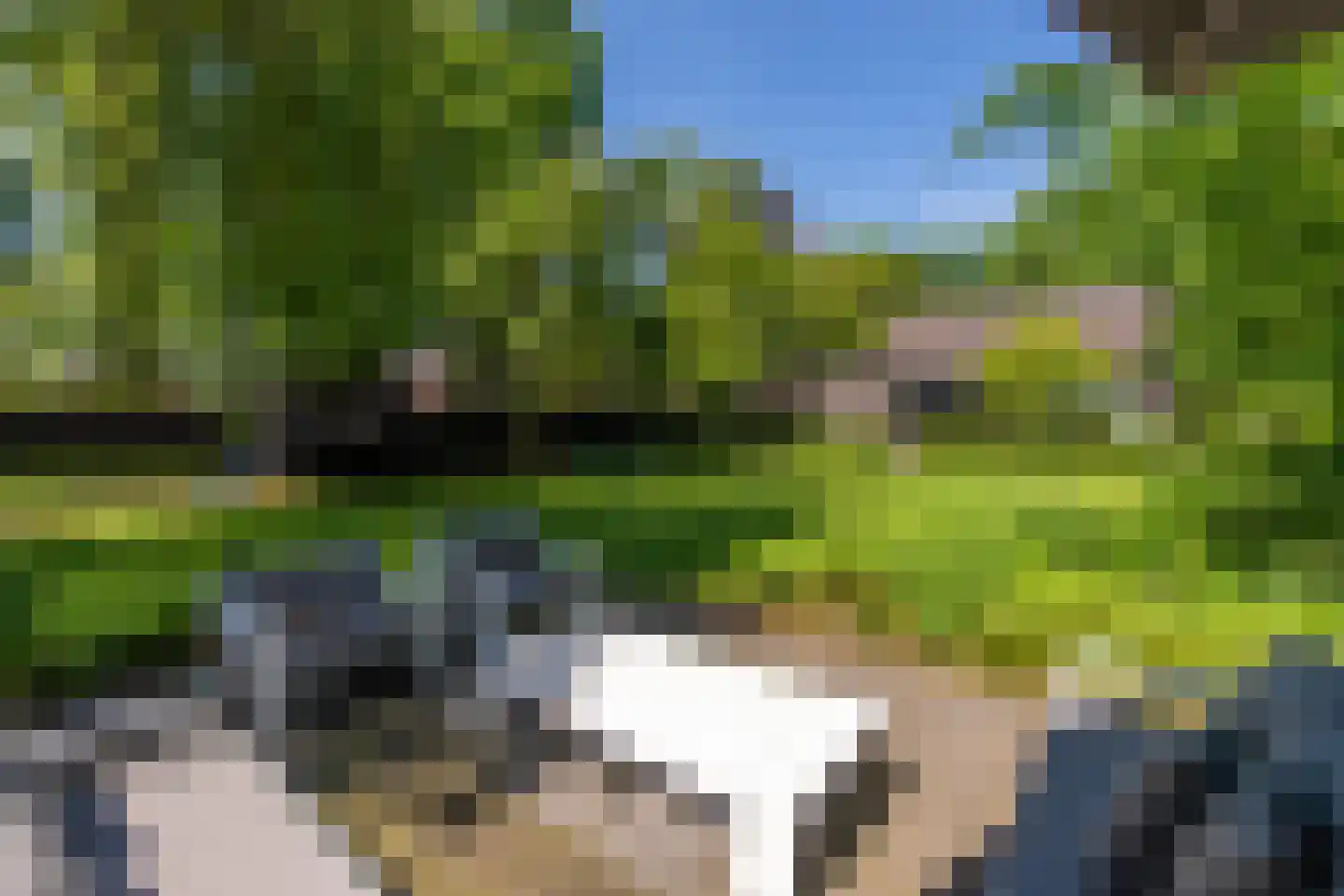 Leijzoom 1 a Goirle thumbnail 130