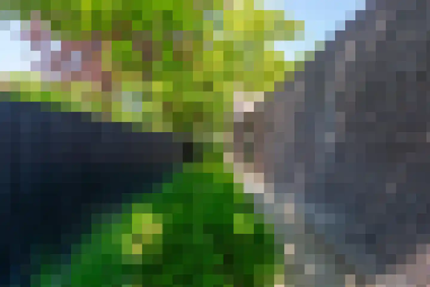 Leijzoom 1 a Goirle thumbnail 131