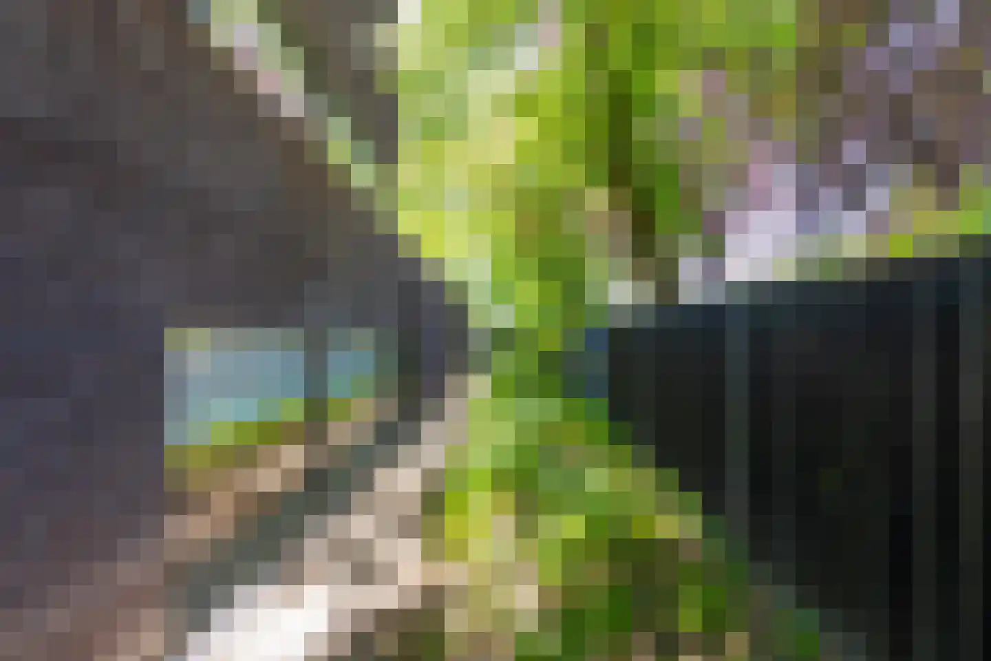 Leijzoom 1 a Goirle thumbnail 132
