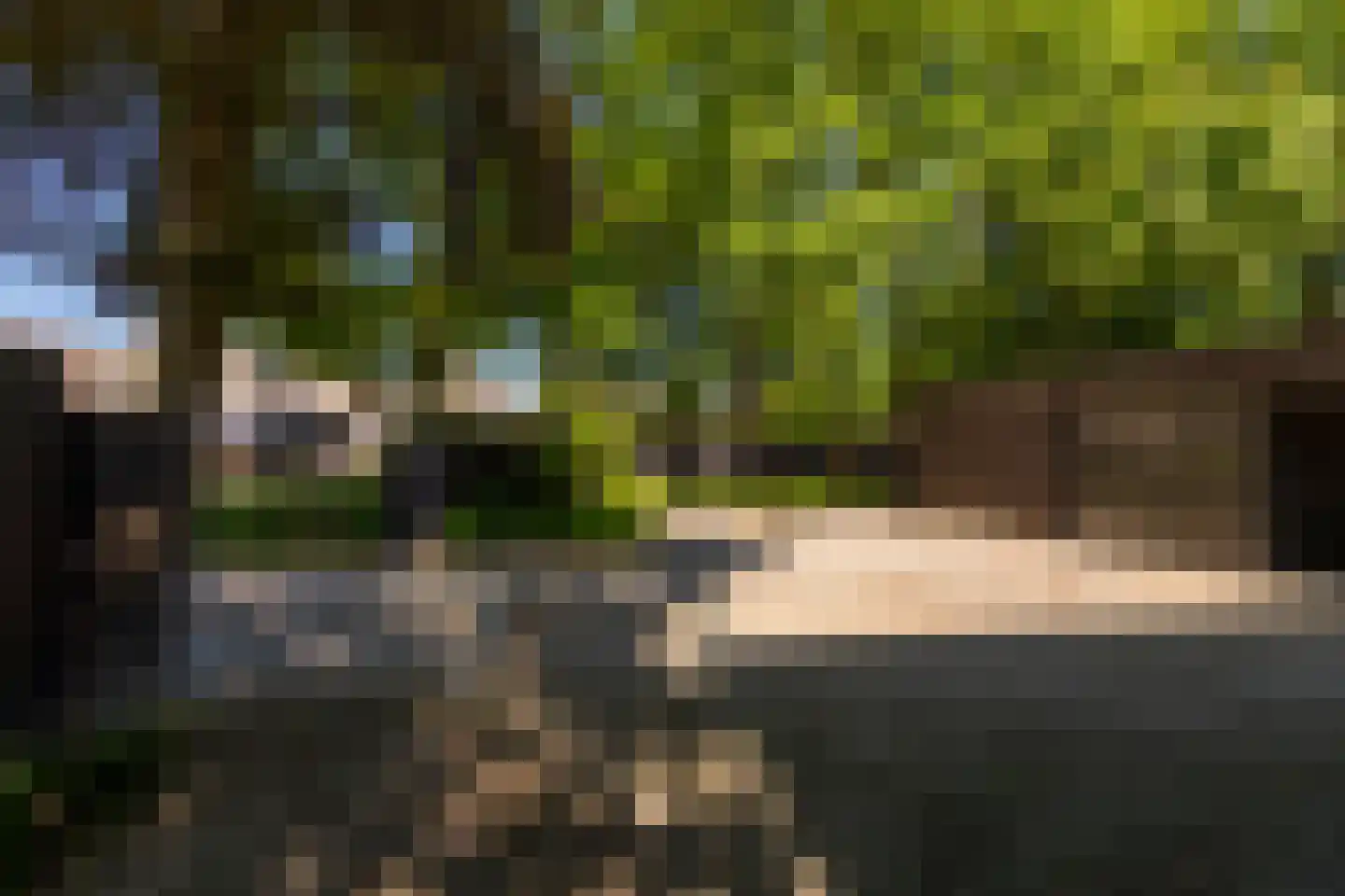 Leijzoom 1 a Goirle thumbnail 133