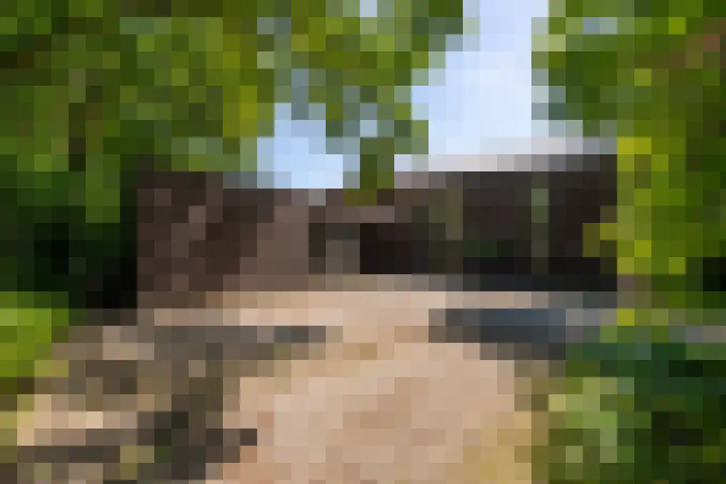 Leijzoom 1 a Goirle thumbnail 134