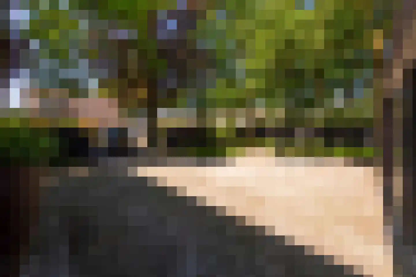 Leijzoom 1 a Goirle thumbnail 135