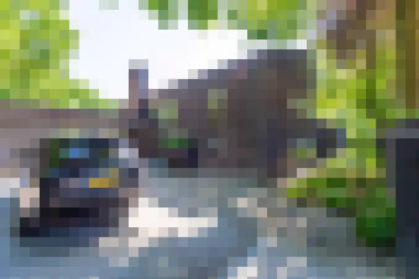 Leijzoom 1 a Goirle thumbnail 136