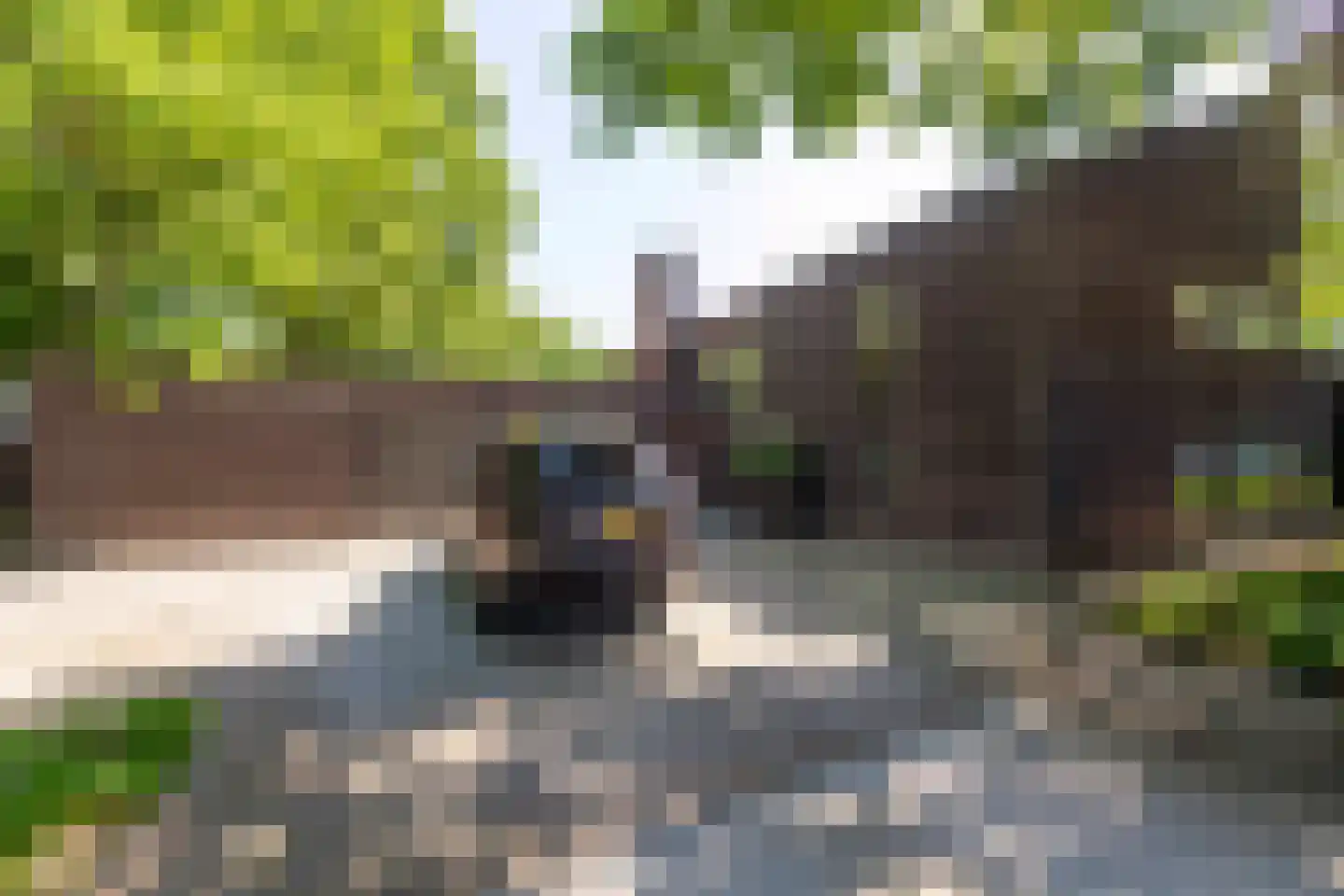 Leijzoom 1 a Goirle thumbnail 137