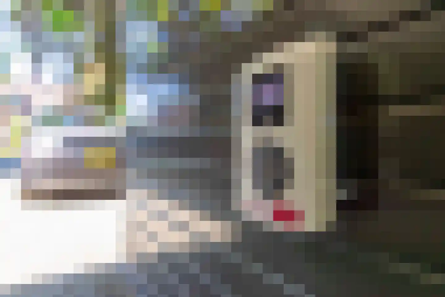 Leijzoom 1 a Goirle thumbnail 138