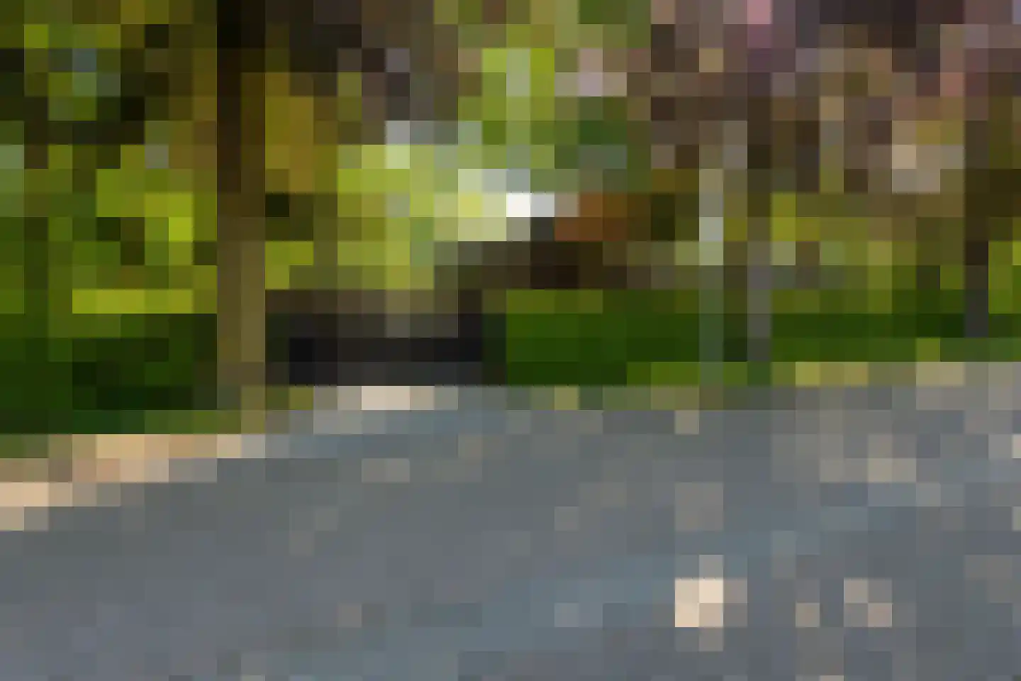 Leijzoom 1 a Goirle thumbnail 139