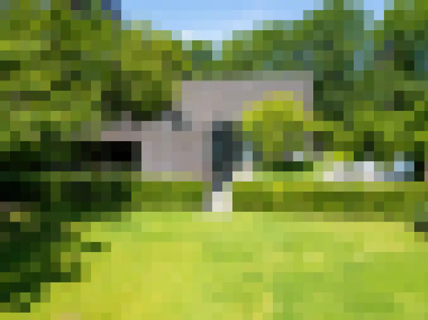 Leijzoom 1 a Goirle thumbnail 140