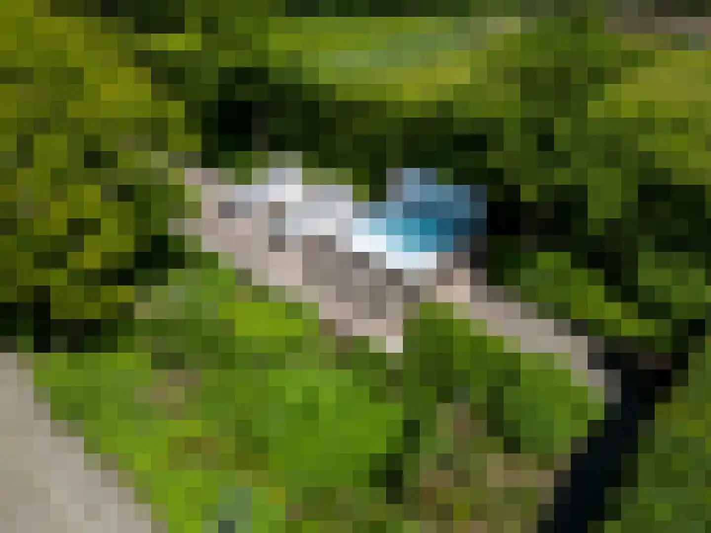 Leijzoom 1 a Goirle thumbnail 141