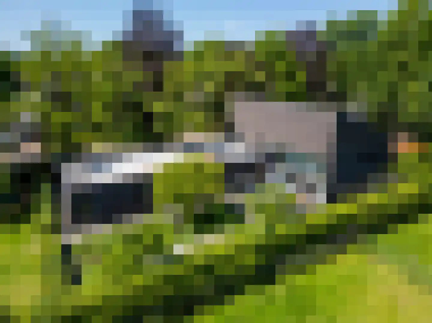 Leijzoom 1 a Goirle thumbnail 142
