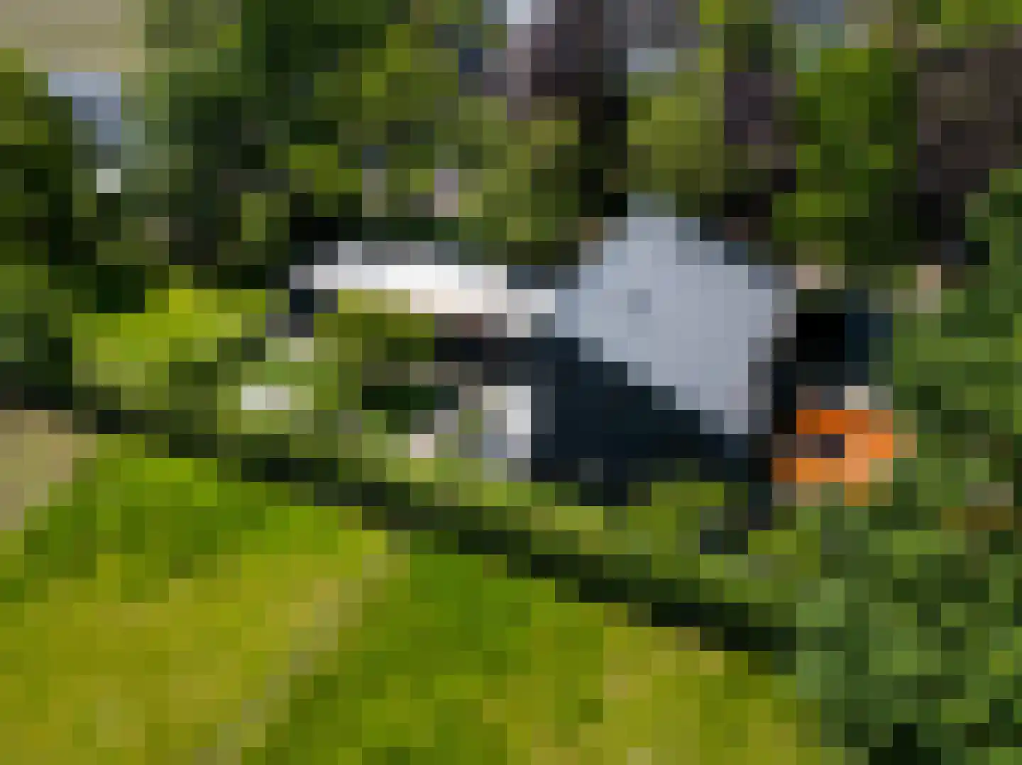 Leijzoom 1 a Goirle thumbnail 143