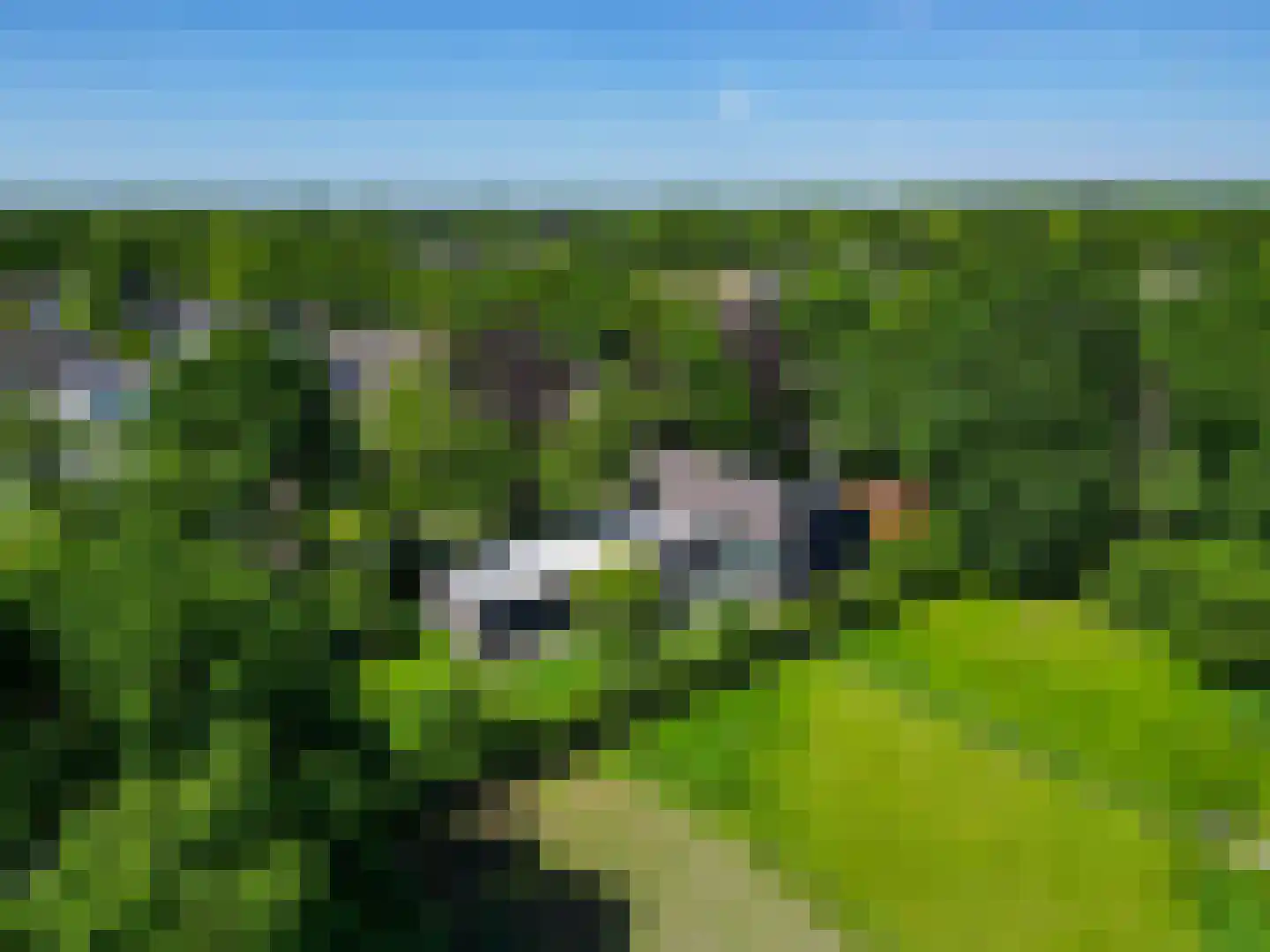 Leijzoom 1 a Goirle thumbnail 145
