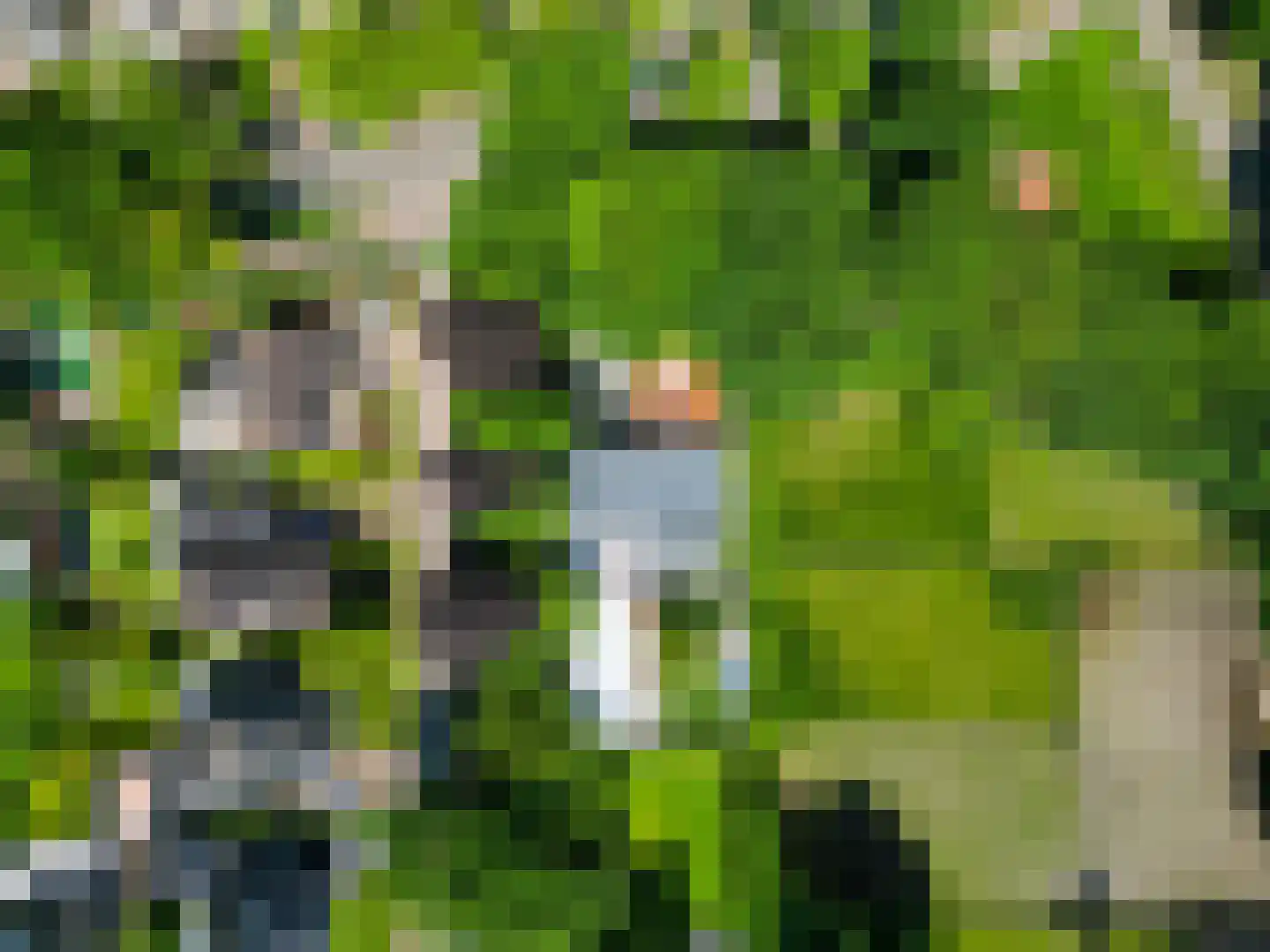 Leijzoom 1 a Goirle thumbnail 146