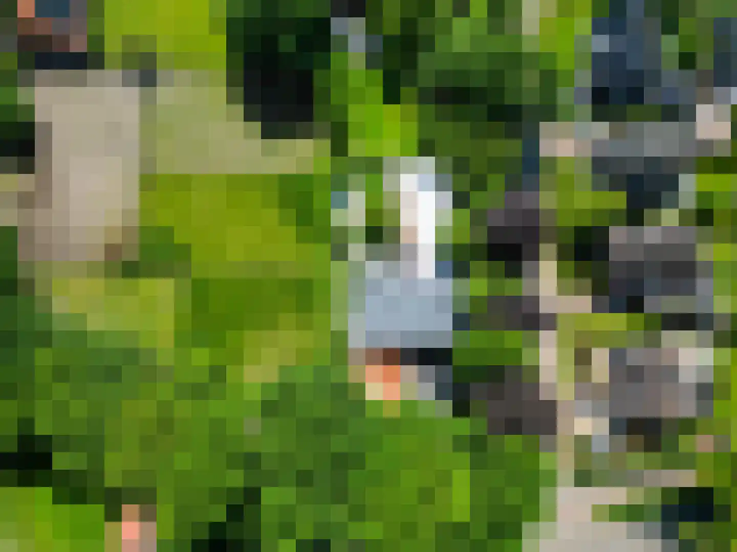 Leijzoom 1 a Goirle thumbnail 147