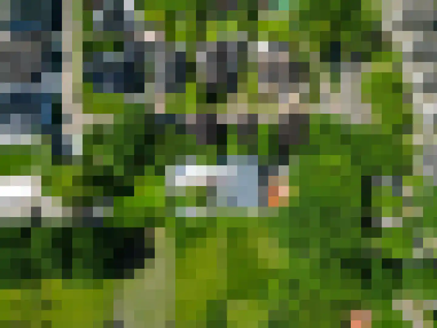 Leijzoom 1 a Goirle thumbnail 148