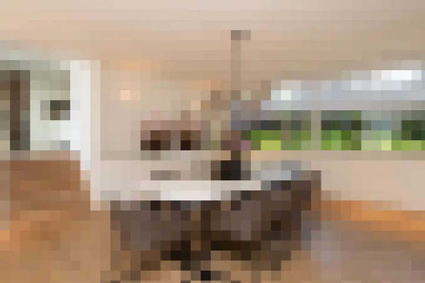 Leijzoom 1 a Goirle thumbnail 31
