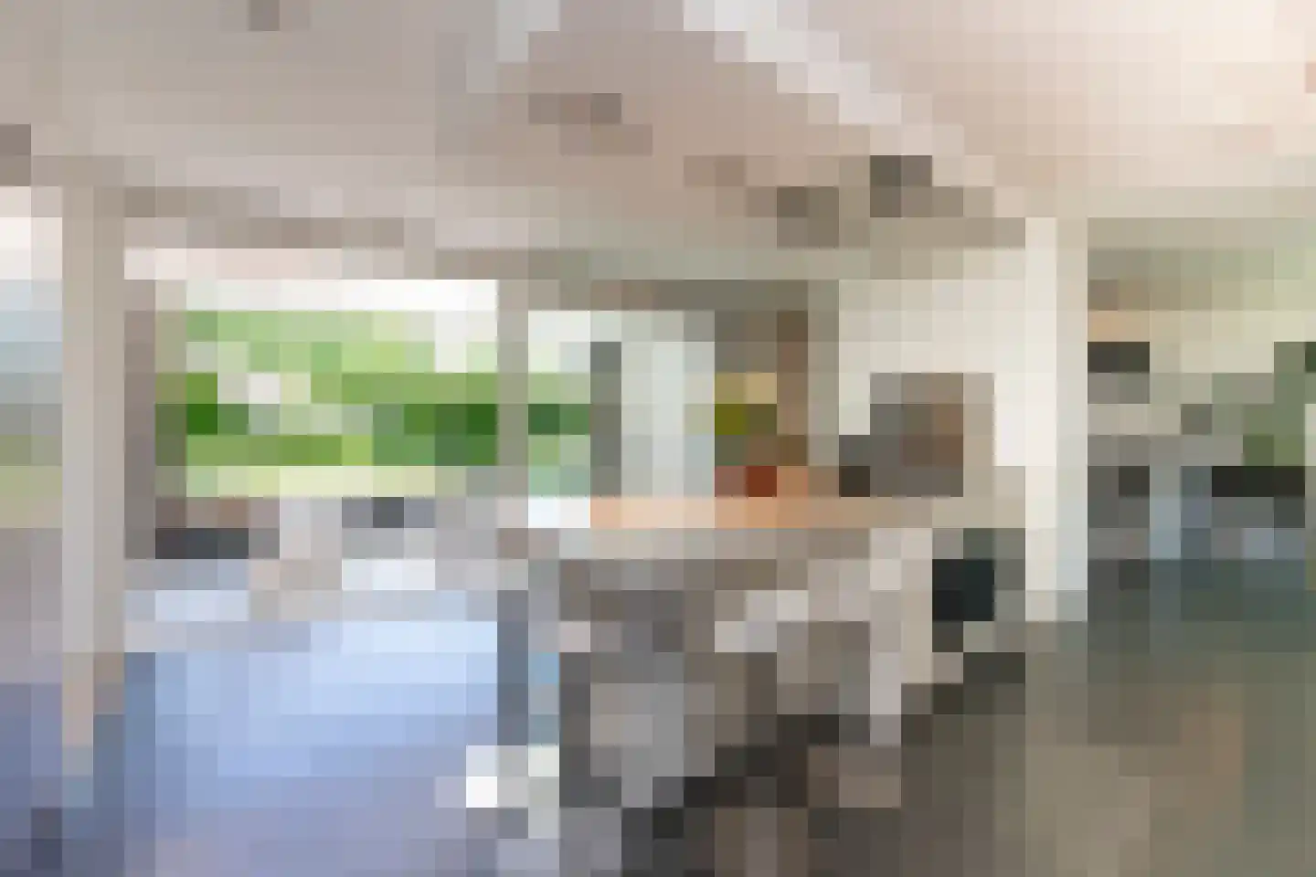 Leijzoom 1 a Goirle thumbnail 33