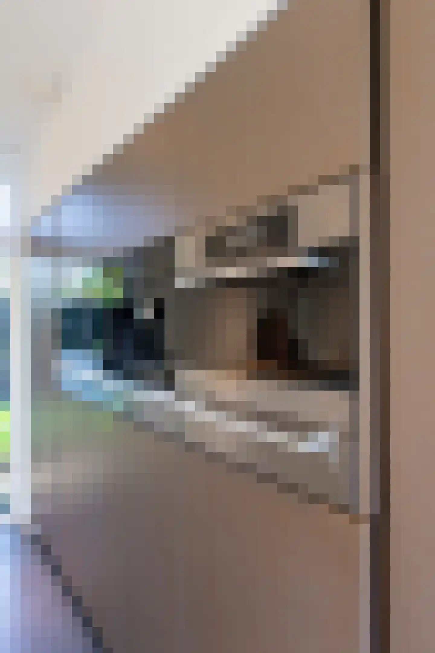 Leijzoom 1 a Goirle thumbnail 38