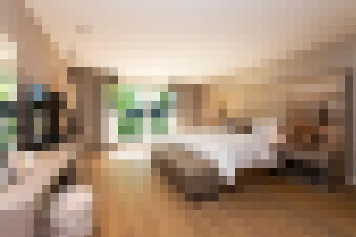 Leijzoom 1 a Goirle thumbnail 4