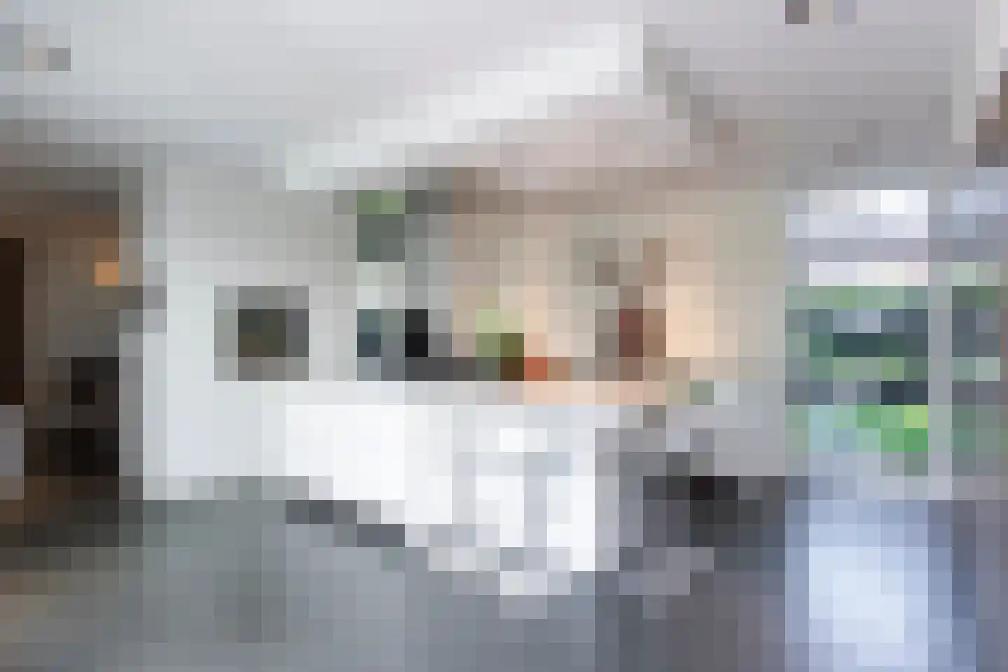 Leijzoom 1 a Goirle thumbnail 41