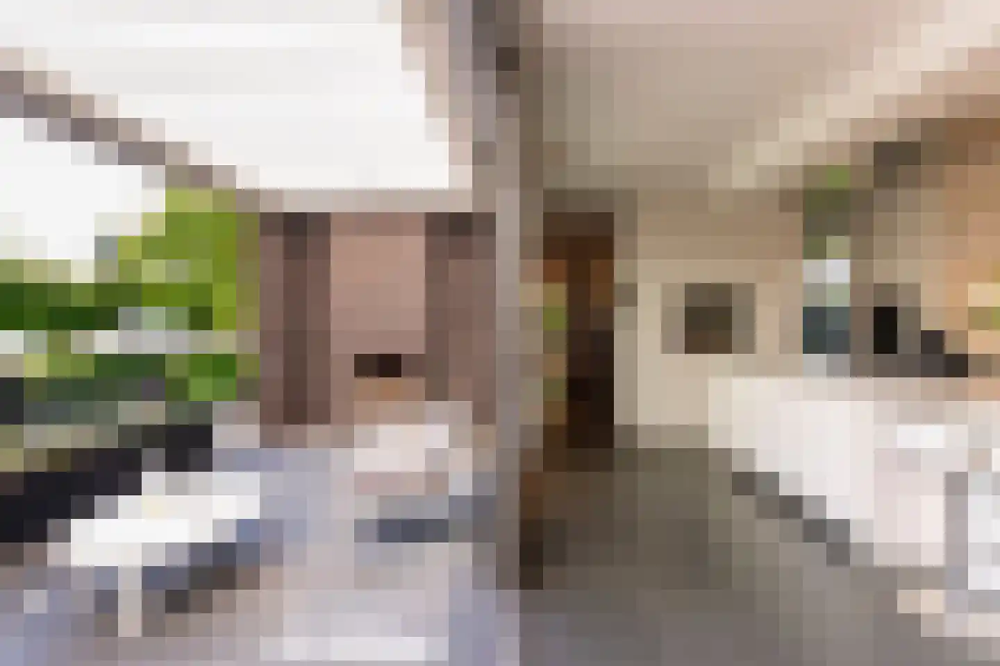 Leijzoom 1 a Goirle thumbnail 42