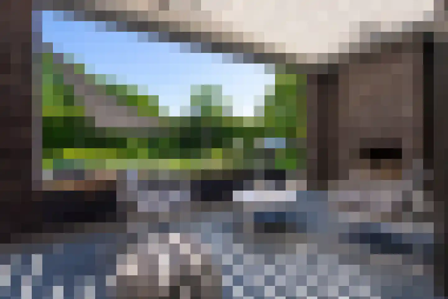 Leijzoom 1 a Goirle thumbnail 43