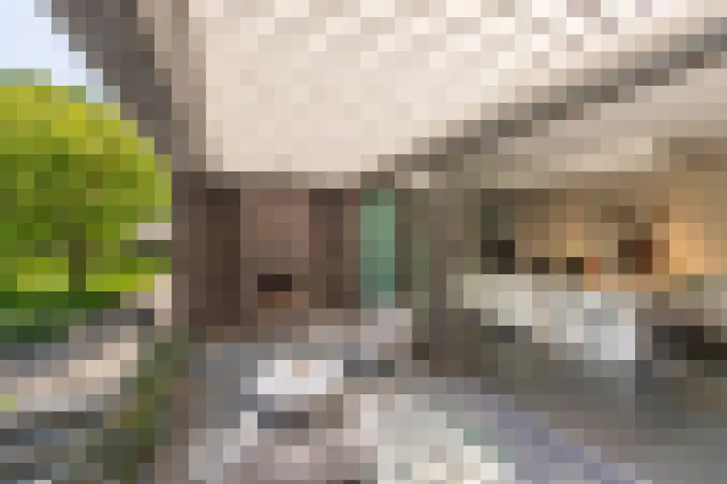 Leijzoom 1 a Goirle thumbnail 44