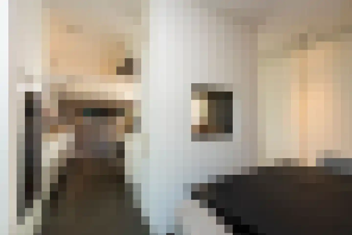 Leijzoom 1 a Goirle thumbnail 48