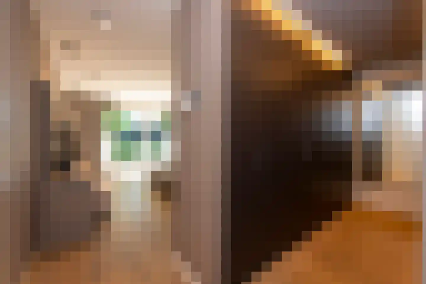 Leijzoom 1 a Goirle thumbnail 52