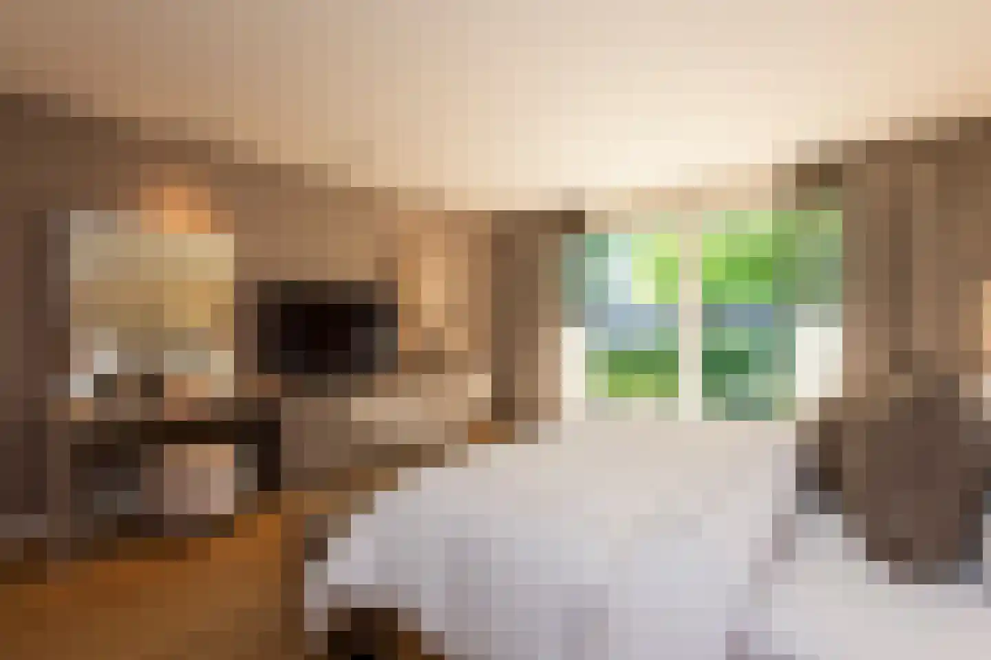 Leijzoom 1 a Goirle thumbnail 55