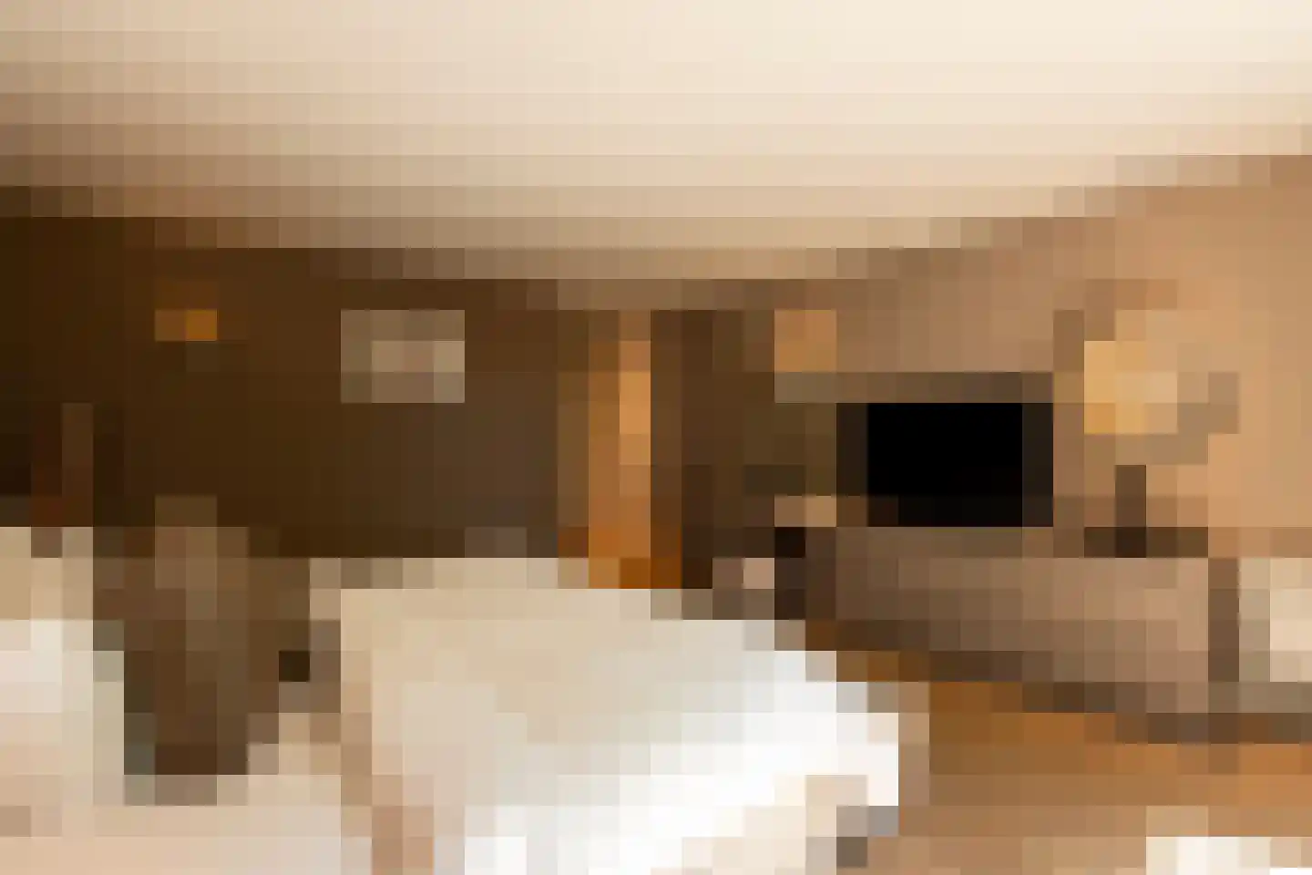 Leijzoom 1 a Goirle thumbnail 58