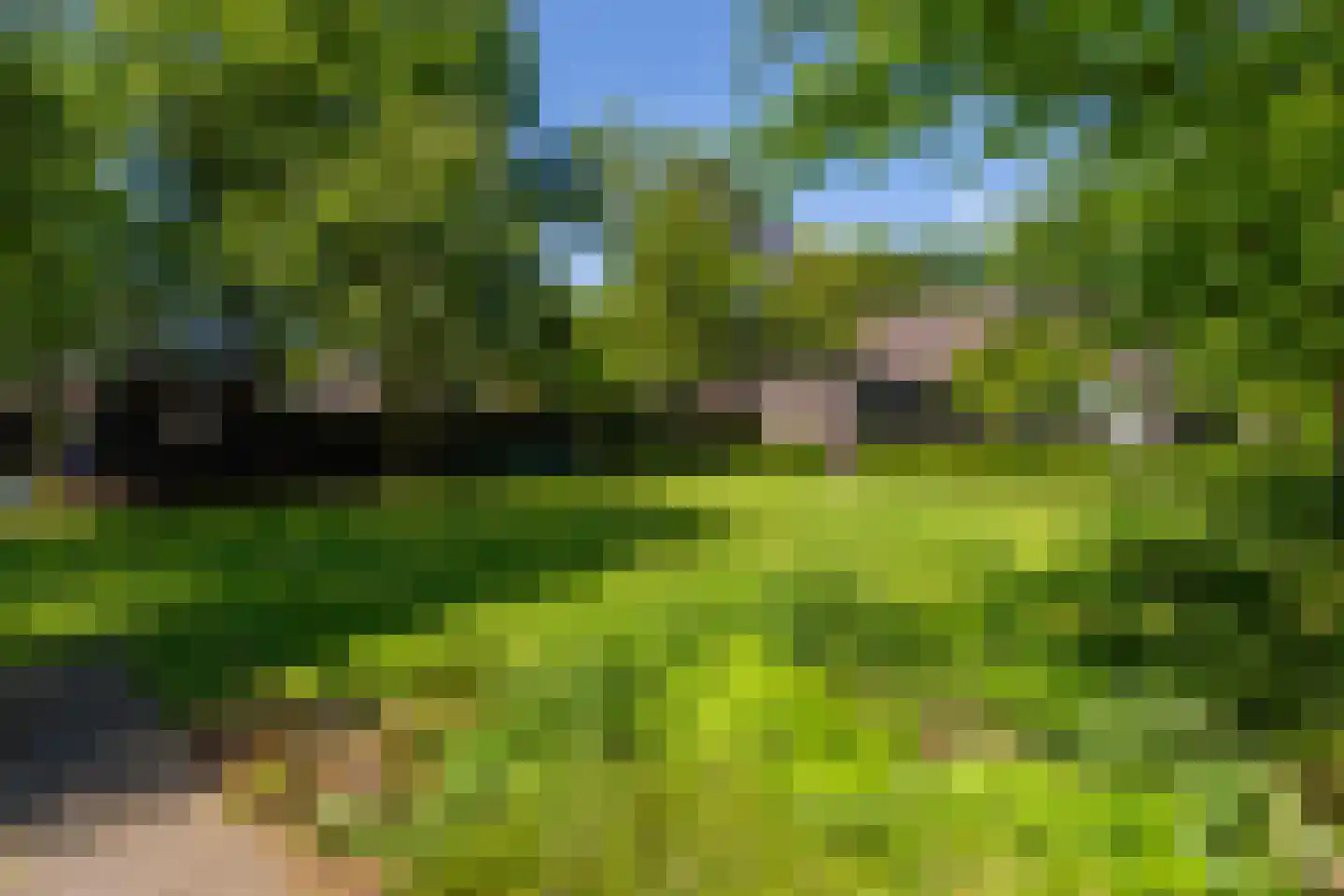 Leijzoom 1 a Goirle thumbnail 6