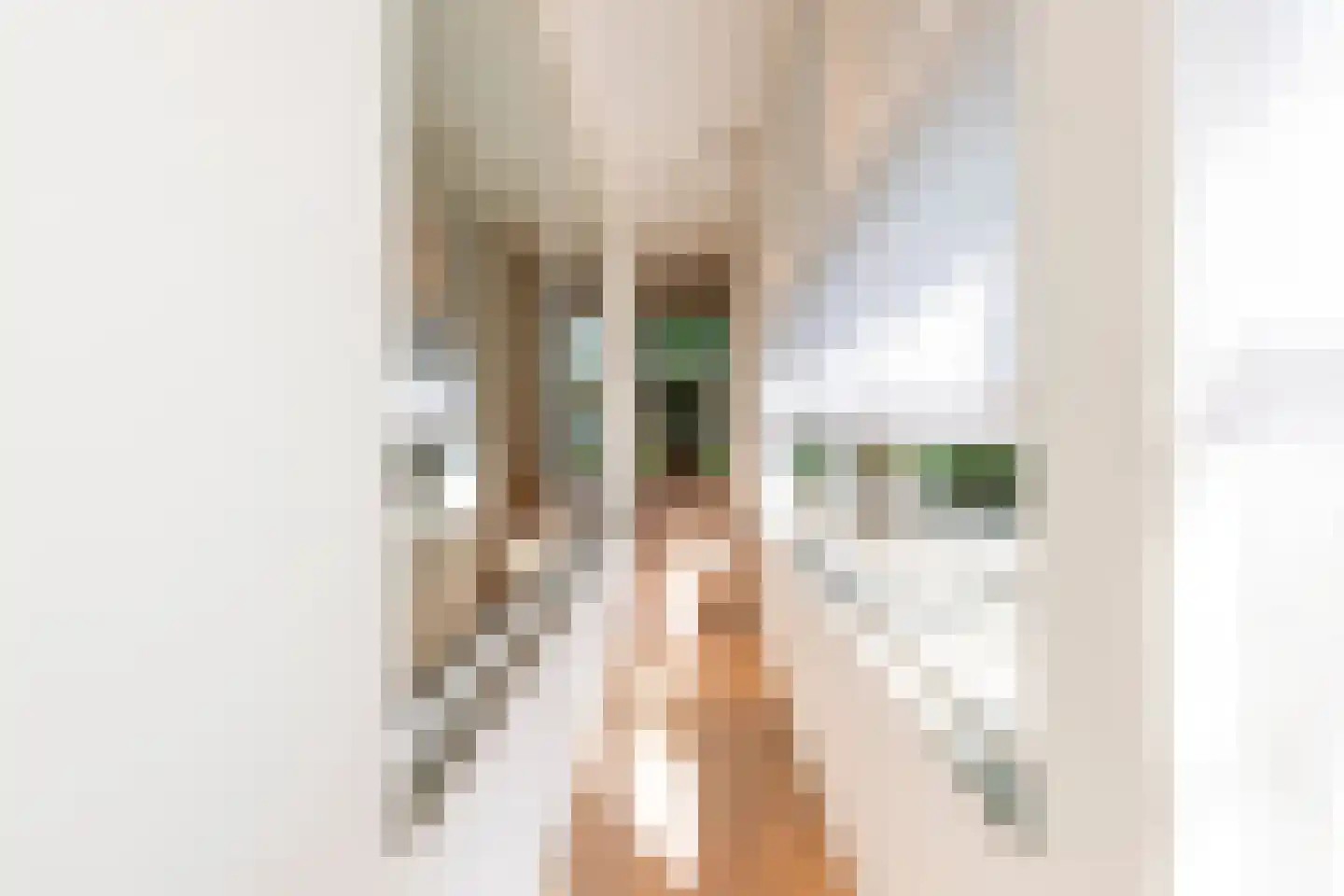 Leijzoom 1 a Goirle thumbnail 69